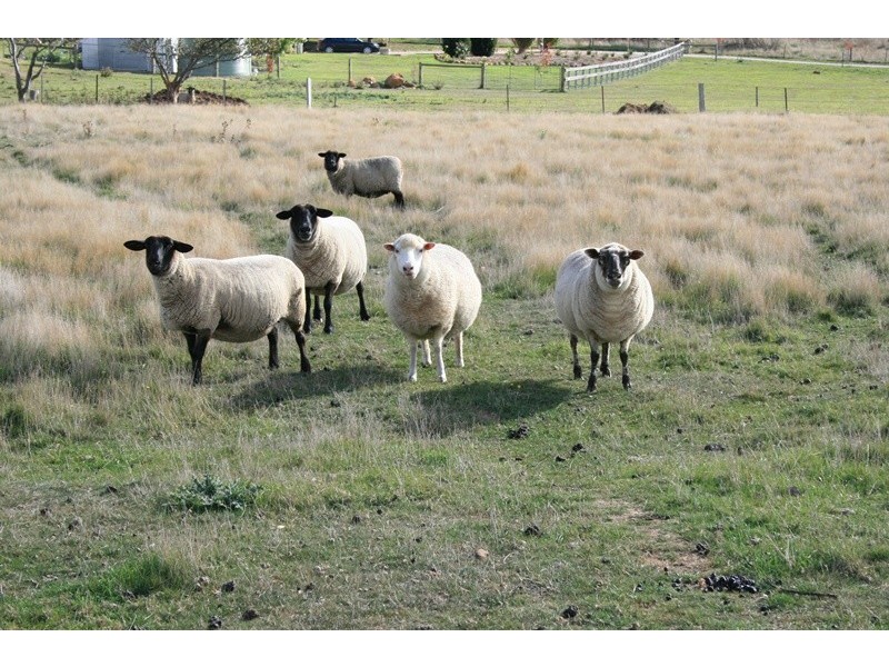 132 NORTHUMBERLAND ROAD, Kyneton VIC 3444
