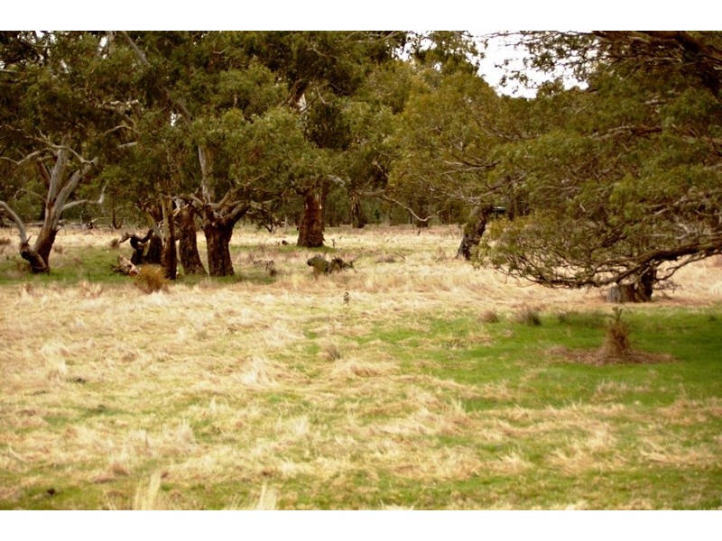 771 Redesdale Road, Kyneton VIC 3444