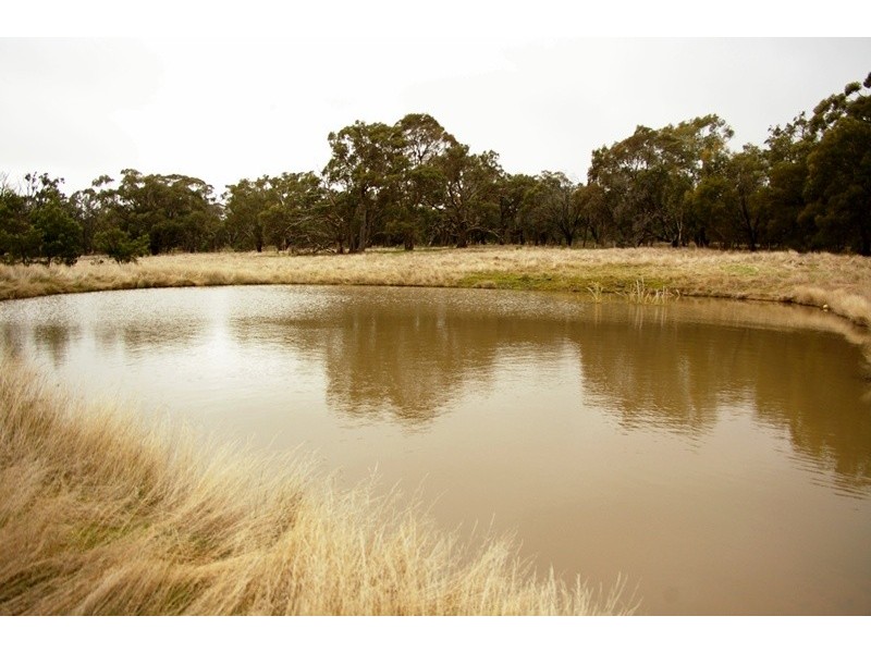 771 Redesdale Road, Kyneton VIC 3444