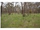 Lot 7 South Lane, Kyneton VIC 3444