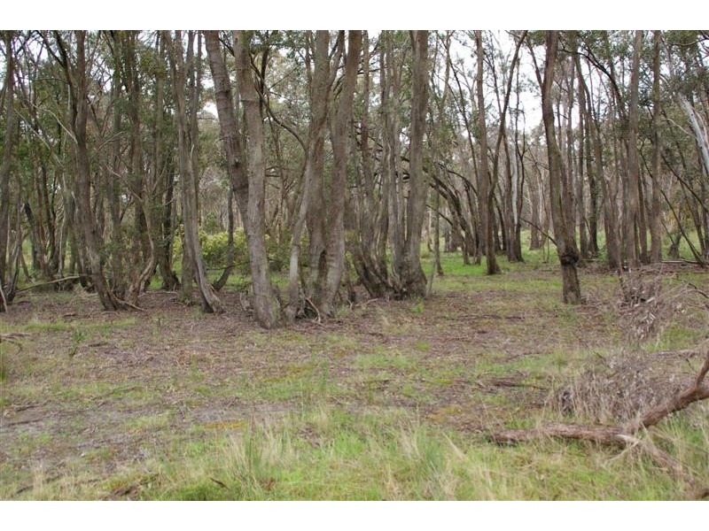 Lot 7 South Lane, Kyneton VIC 3444