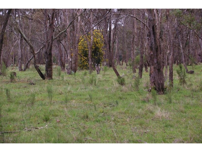 Lot 7 South Lane, Kyneton VIC 3444