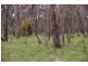 Lot 7 South Lane, Kyneton VIC 3444