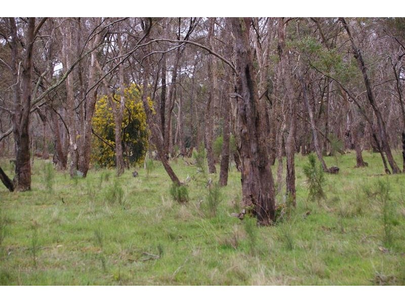 Lot 7 South Lane, Kyneton VIC 3444