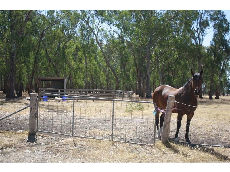 200 CAMPBELLS ROAD, Redesdale VIC 3444