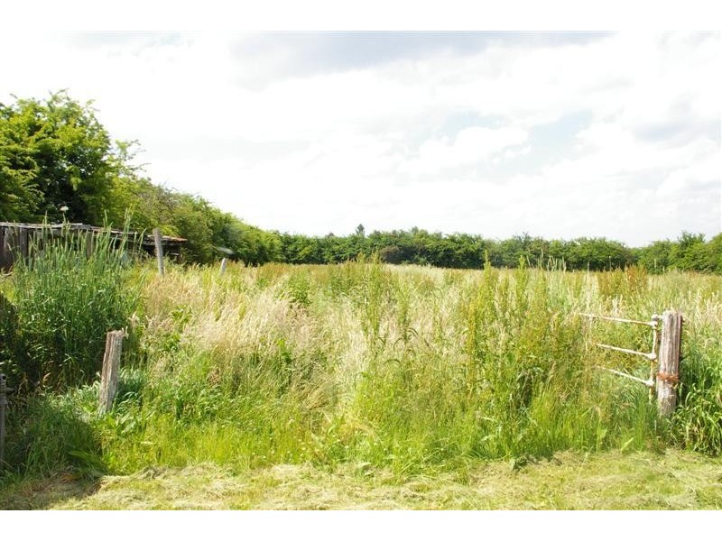 31 Clowes Street, Tylden VIC 3444