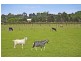 89 Breakneck Road, Malmsbury VIC 3446