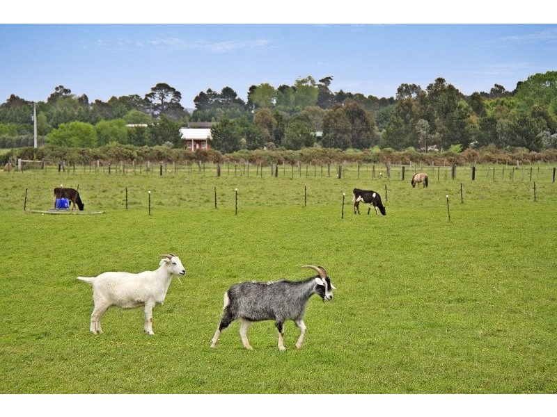89 Breakneck Road, Malmsbury VIC 3446