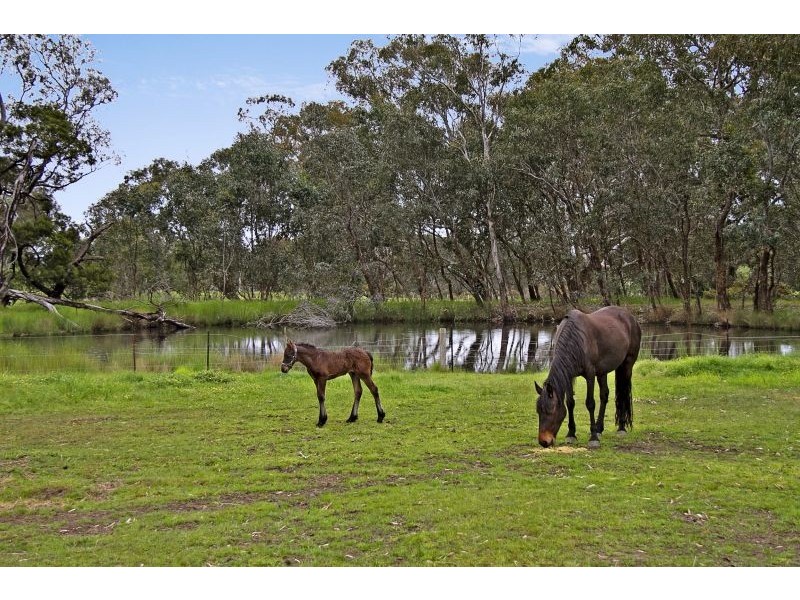 791 Redesdale Road, Edgecombe VIC 3444