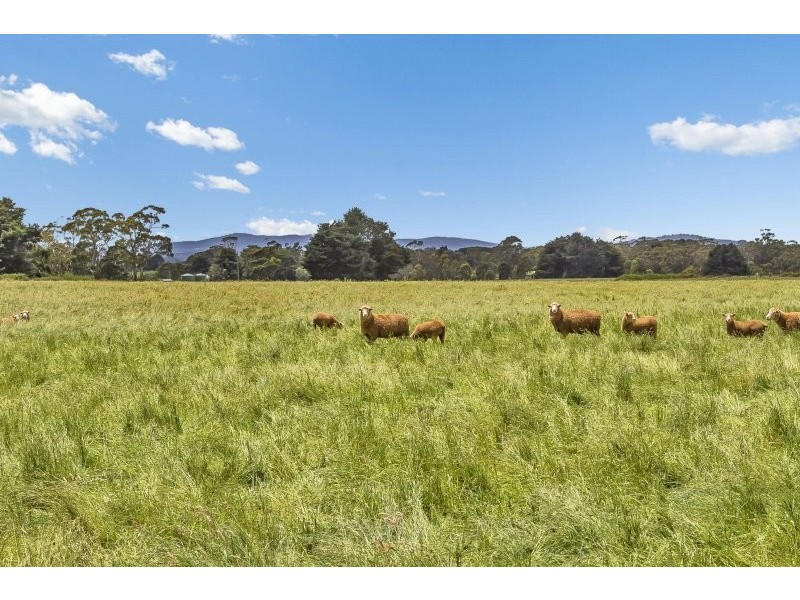 397 James Lane,, Fern Hill VIC 3458