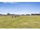 48 Alisons Road, Drummond North VIC 3446