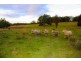 CA 22 Old Calder Highway, Taradale VIC 3447