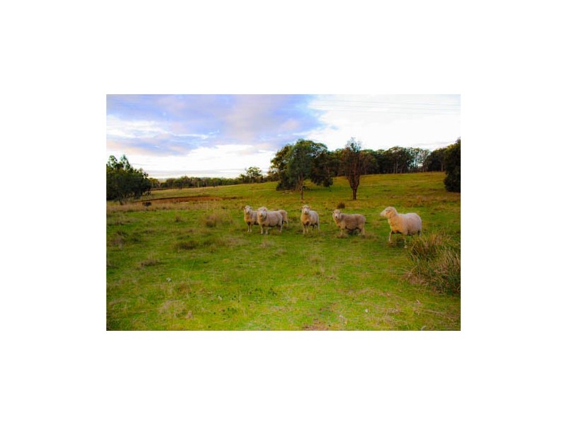 CA 22 Old Calder Highway, Taradale VIC 3447