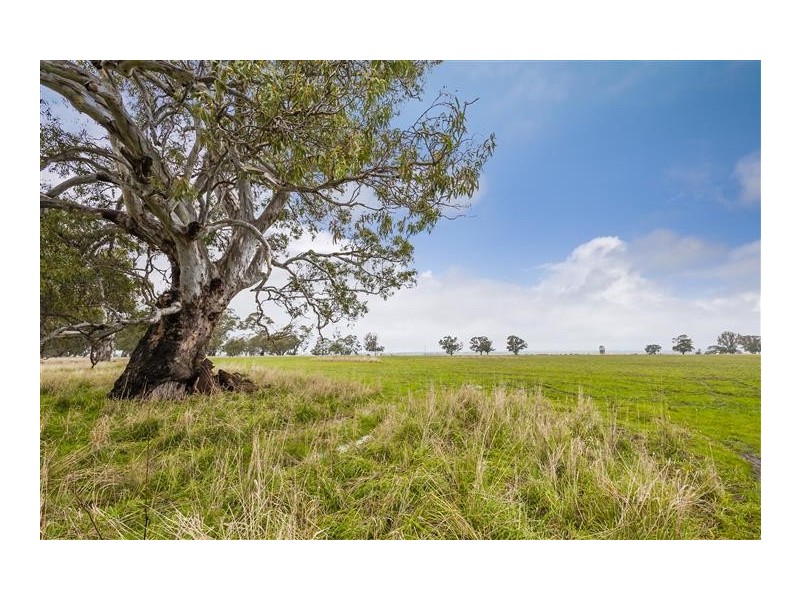 2376 Kyneton-Redesdale Road, Redesdale VIC 3444