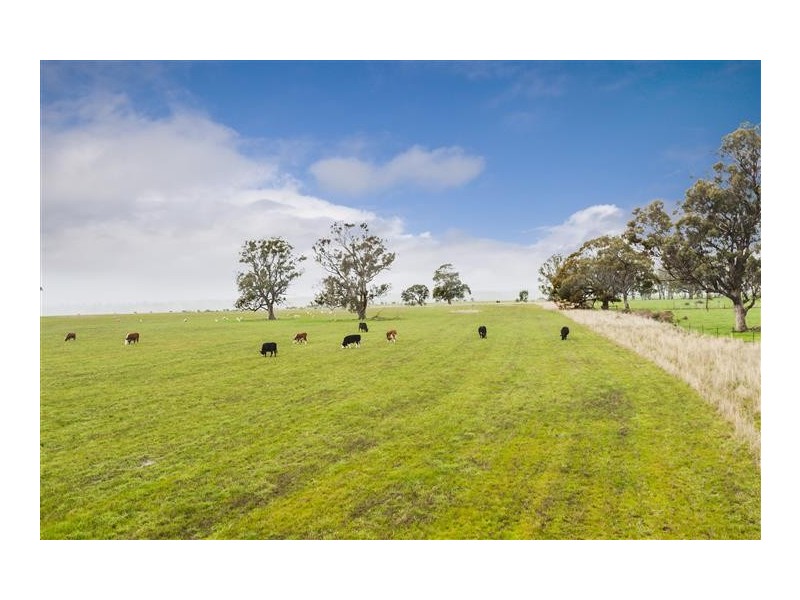 2376 Kyneton-Redesdale Road, Redesdale VIC 3444