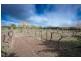 22 Rawson Place, Kyneton VIC 3444