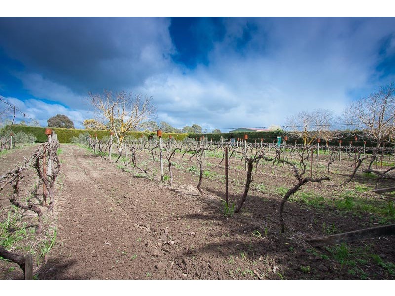 22 Rawson Place, Kyneton VIC 3444
