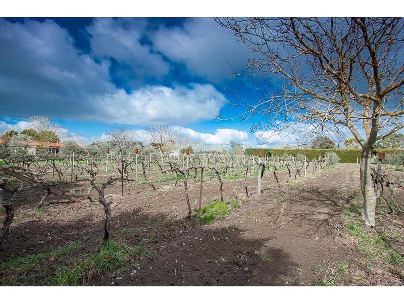 22 Rawson Place, Kyneton VIC 3444