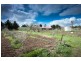 22 Rawson Place, Kyneton VIC 3444