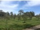 68 Cypress Drive, Elphinstone VIC 3448