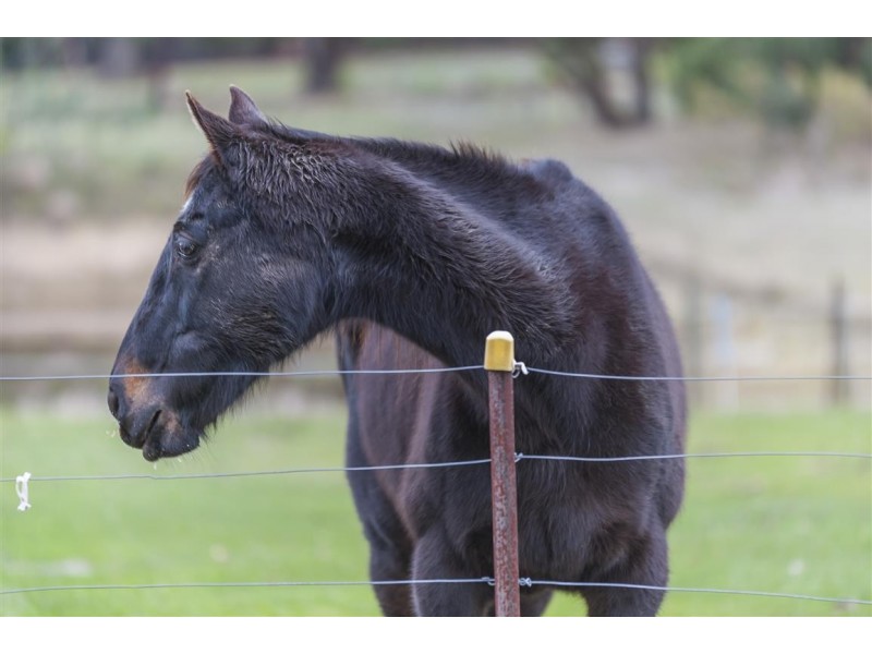 20 Hogan Court, Kyneton VIC 3444