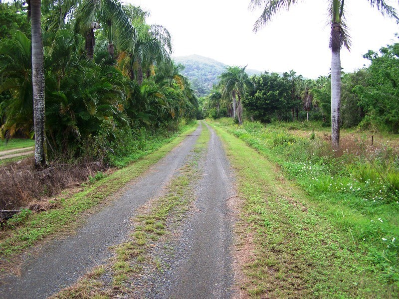 1069 CONWAY ROAD, Conway QLD 4800
