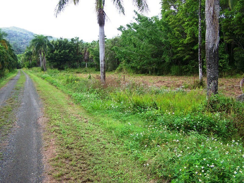 1069 CONWAY ROAD, Conway QLD 4800