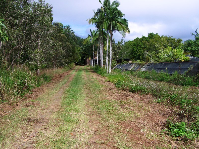 1069 CONWAY ROAD, Conway QLD 4800