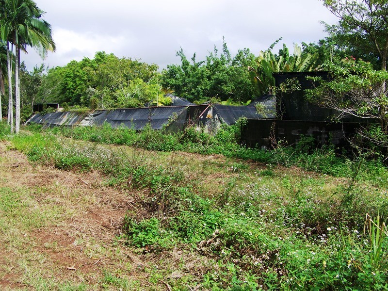 1069 CONWAY ROAD, Conway QLD 4800