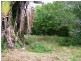 1069 CONWAY ROAD, Conway QLD 4800