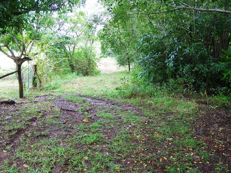 1069 CONWAY ROAD, Conway QLD 4800
