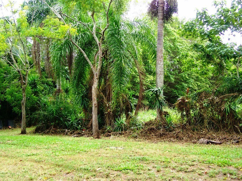1069 CONWAY ROAD, Conway QLD 4800