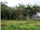 1069 CONWAY ROAD, Conway QLD 4800