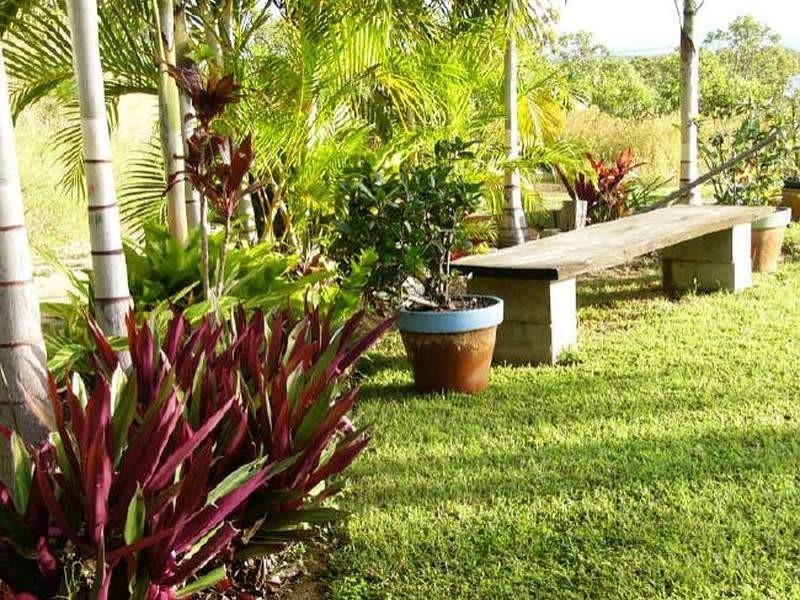 1323 Midge Point Road, Midge Point QLD 4799