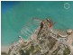 Airlie Beach QLD 4802