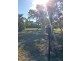 33 O’Flynn Crescent, Midge Point QLD 4799