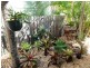 63 Gloucester Av., Hideaway Bay QLD 4800