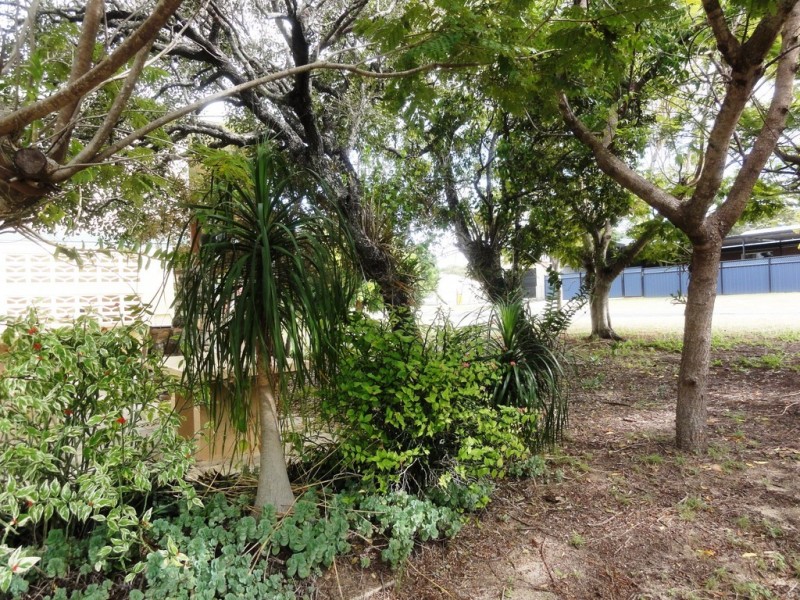 38 Pioneer Drive, Dingo Beach QLD 4800