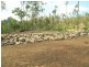 Lot 9 Lelona Drive, Bloomsbury QLD 4799