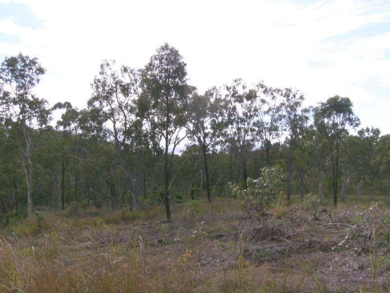 51 Midge Point Road, Midge Point QLD 4799