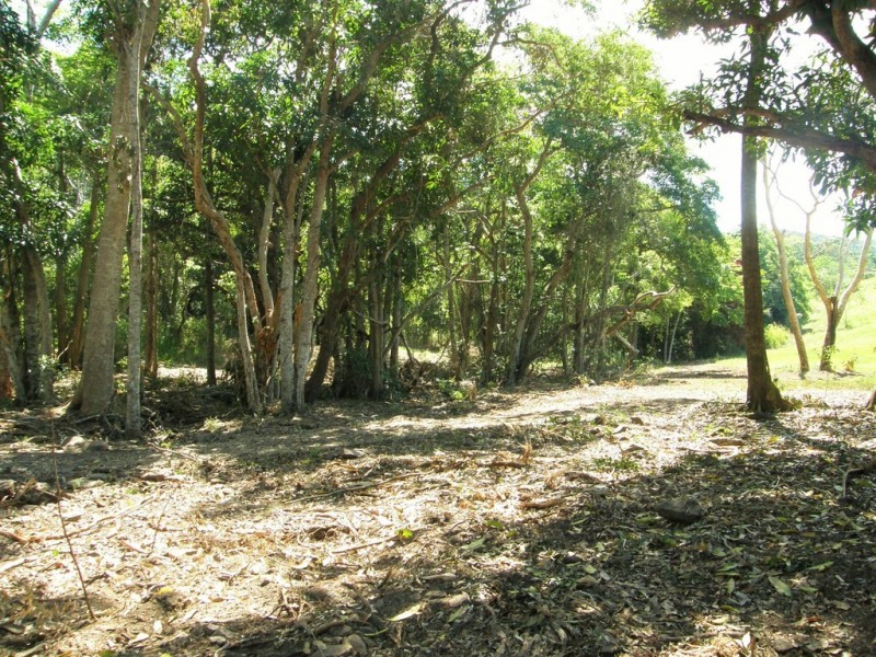 Lot 7 Gillies Road, Proserpine QLD 4800