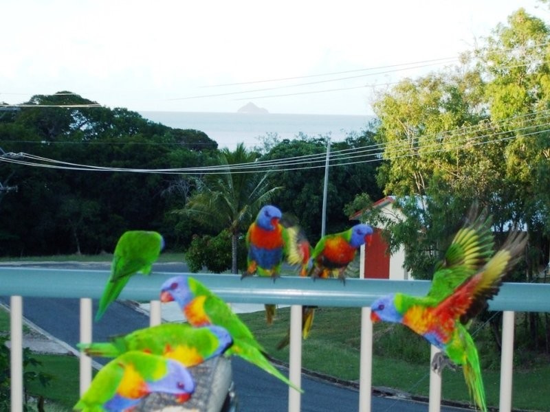 4 Scallop Court, Dingo Beach QLD 4800