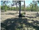 41 Conder Parade, Midge Point QLD 4799