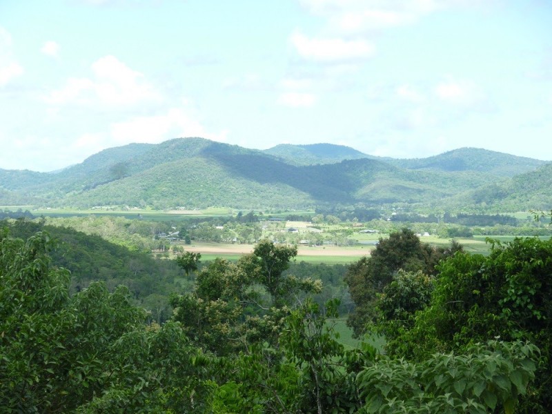 50 STANILAND DRIVE, Strathdickie QLD 4800