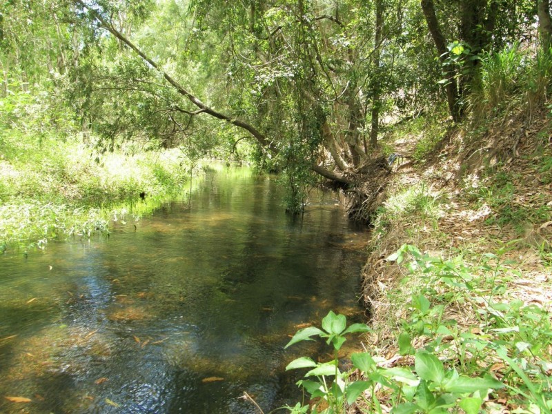 1894 Crystalbrook Road, Proserpine QLD 4800