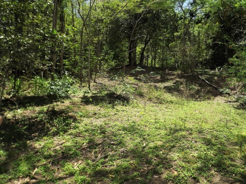 4 TYREE ROAD, Proserpine QLD 4800