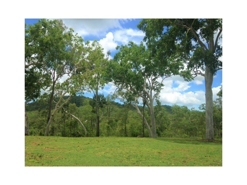 188 LELONA DRIVE, Bloomsbury QLD 4799