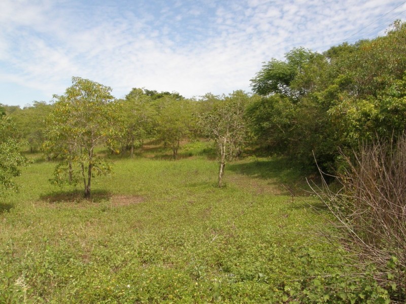 Lot 129 Whitsunday Drive, Bloomsbury QLD 4799