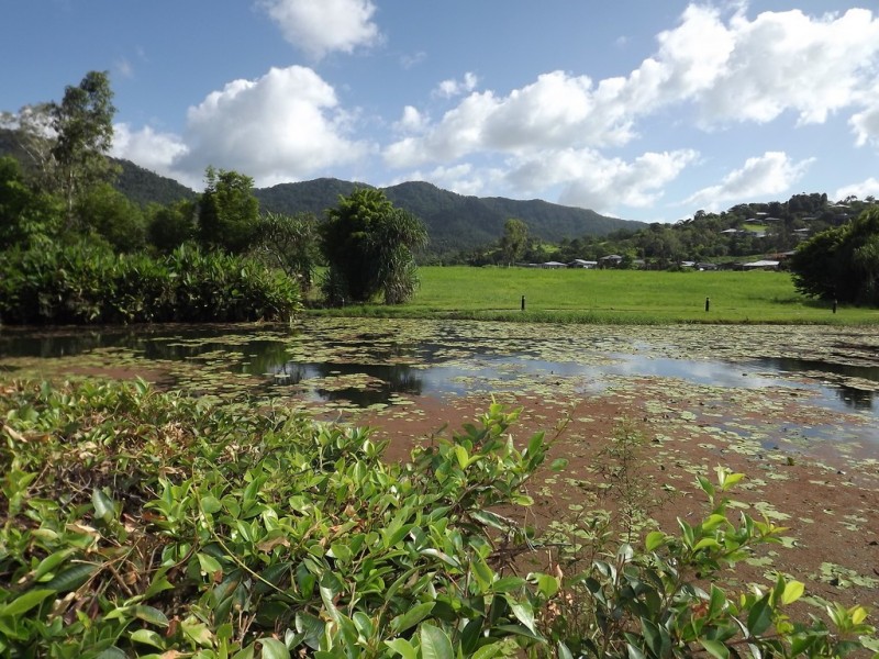 54 Abell Road, Cannonvale QLD 4802