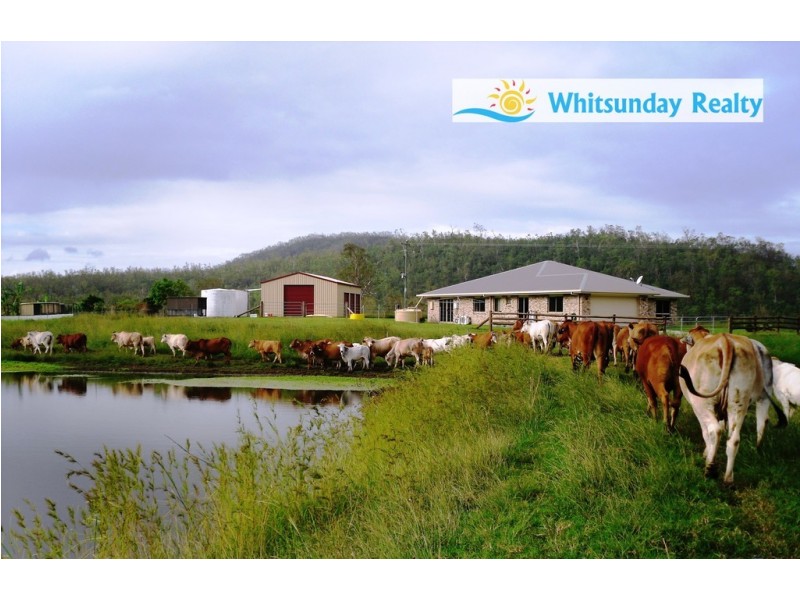 424 Exmoor Road, Bloomsbury QLD 4799